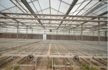 Openable Roof Film Greenhouse